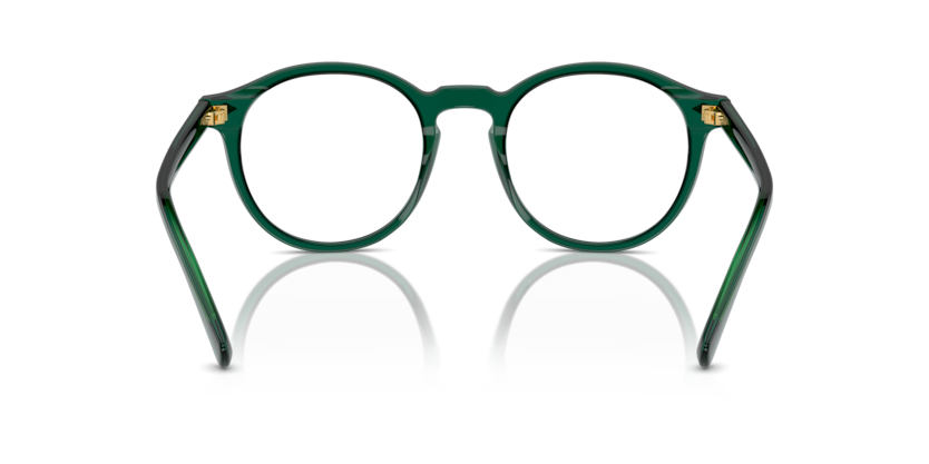 618671 - Shiny Transparent Green