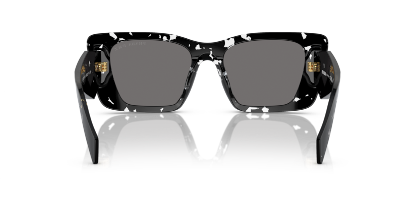 15S5Z1 - Black Crystal Tortoise