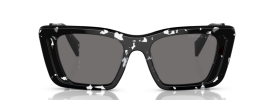 15S5Z1 - Black Crystal Tortoise