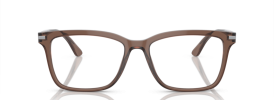 17O1O1 - Brown Transparent