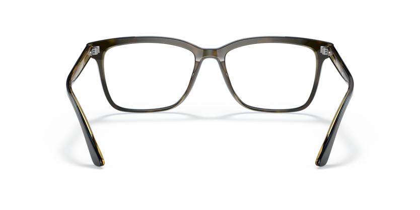 ZXH1O1 - Moro Turquoise Tortoise