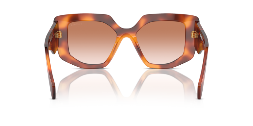 18R70E - Cognac Tortoise