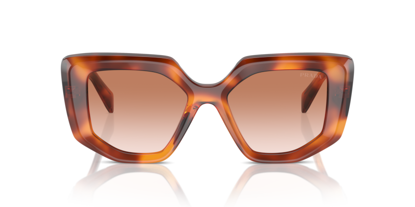 18R70E - Cognac Tortoise