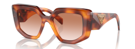 18R70E - Cognac Tortoise