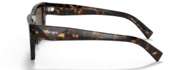 2AU8C1 - Tortoise