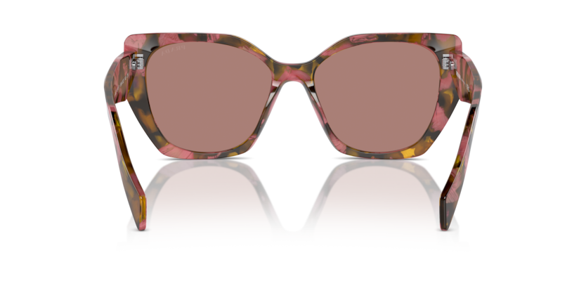 18N10D - Tortoise Cognac Begonia