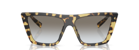 7S00A7 - Medium Tortoise