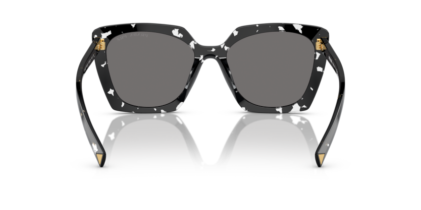 15S5Z1 - Black Crystal Tortoise