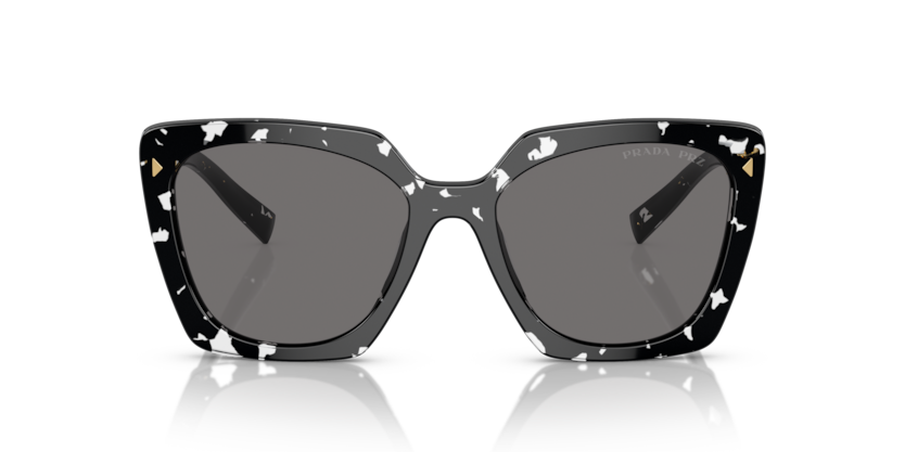 15S5Z1 - Black Crystal Tortoise