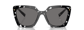 15S5Z1 - Black Crystal Tortoise