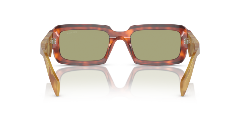 11P60C - Cognac Tortoise