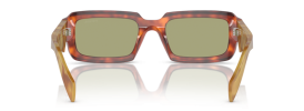 11P60C - Cognac Tortoise