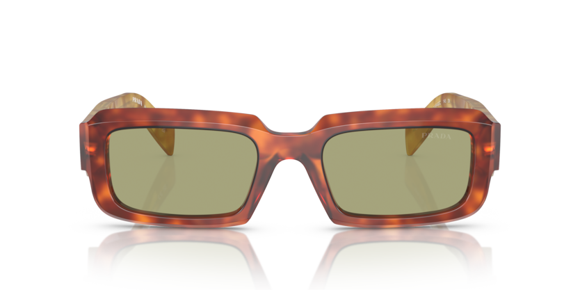 11P60C - Cognac Tortoise