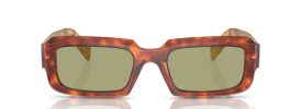 11P60C - Cognac Tortoise