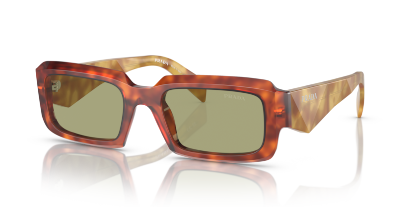 11P60C - Cognac Tortoise