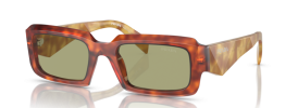 11P60C - Cognac Tortoise