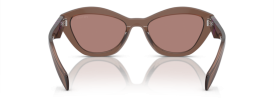 17O60B - Brown Transparent