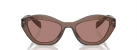 17O60B - Brown Transparent