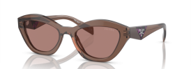 17O60B - Brown Transparent