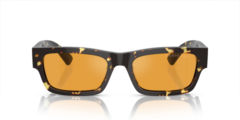 16O20C - Havana Black/Yellow