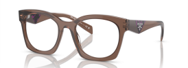 17O1O1 - Transparent Brown