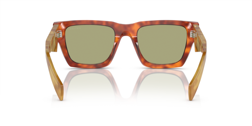 11P60C - Cognac Tortoise