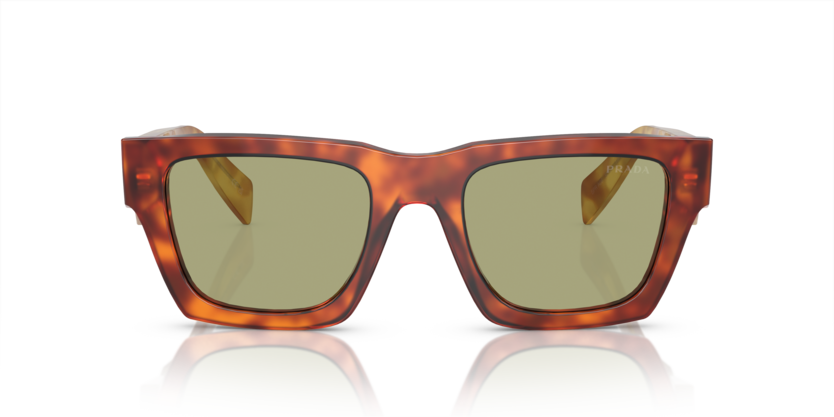 11P60C - Cognac Tortoise