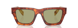 11P60C - Cognac Tortoise