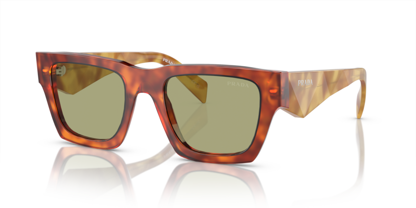 11P60C - Cognac Tortoise