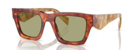 11P60C - Cognac Tortoise