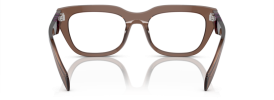 17O1O1 - Transparent Brown