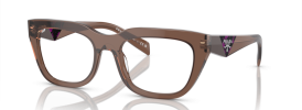 17O1O1 - Transparent Brown