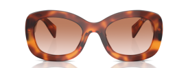 18R70E - Cognac Tortoise