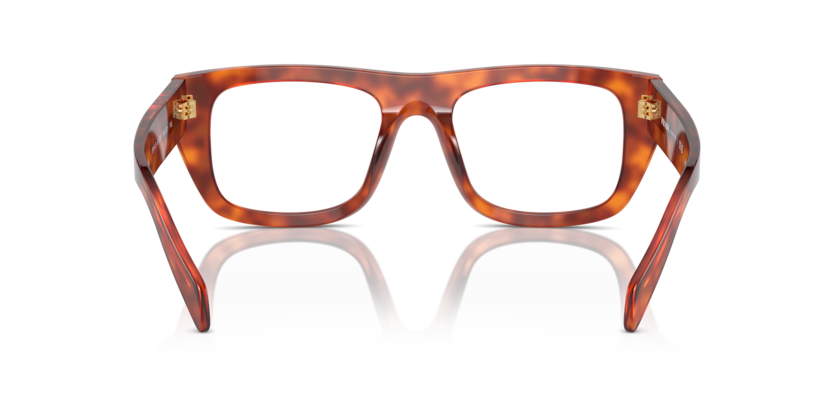 18R1O1 - Cognac Tortoise