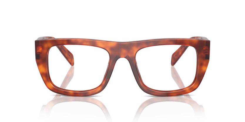 18R1O1 - Cognac Tortoise