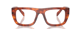 18R1O1 - Cognac Tortoise