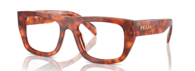 18R1O1 - Cognac Tortoise