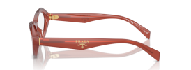 13V1O1 - Opal Cornelian