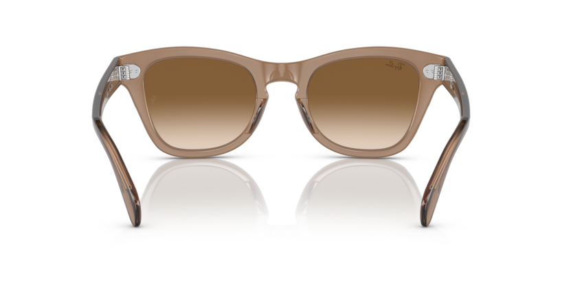 664051 - Transparent Light Brown