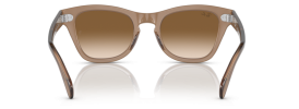 664051 - Transparent Light Brown