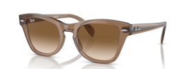 664051 - Transparent Light Brown