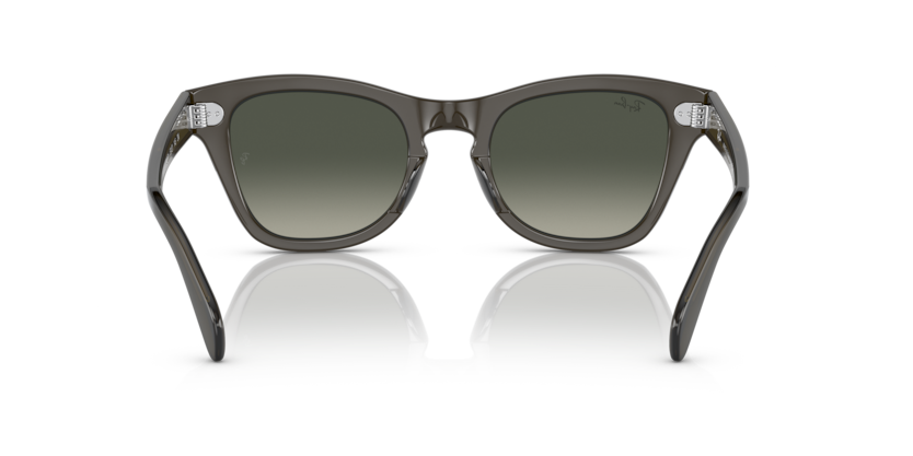 664271 - Transparent Olive Green