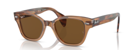 664057 - Transparent Brown