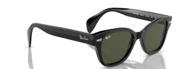 Ray-Ban RB 0880S Sunglasses