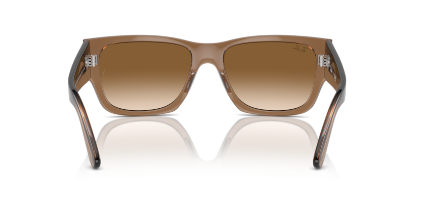 664051 - Transparent Light Brown