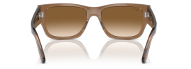 664051 - Transparent Light Brown