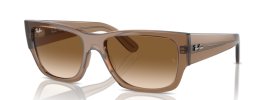 664051 - Transparent Light Brown