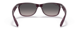 6606M3 - Violet On Transparent Violet