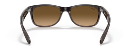 6608M2 - Transparent Brown