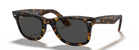 1292B1 - Havana On Transparent Brown